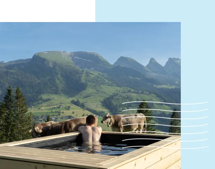 Badebrunnen, eco-pool, Schweiz, Pool für kleine Gärten, Badebrunnen Garten, Naturpool